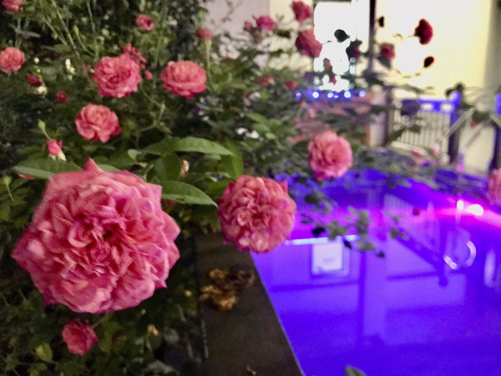 A Thia Homestay Diện Biên Phủ Zewnętrze zdjęcie